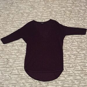Express Purple/glittery V-Neck Sweater